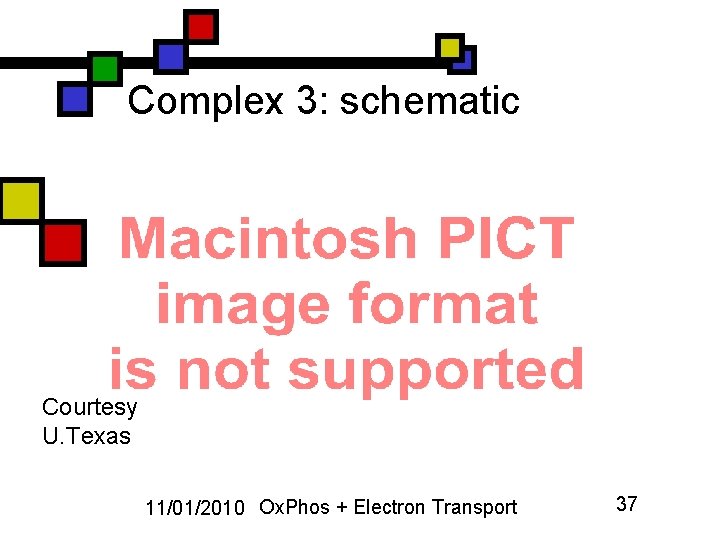 Complex 3: schematic Courtesy U. Texas 11/01/2010 Ox. Phos + Electron Transport 37 