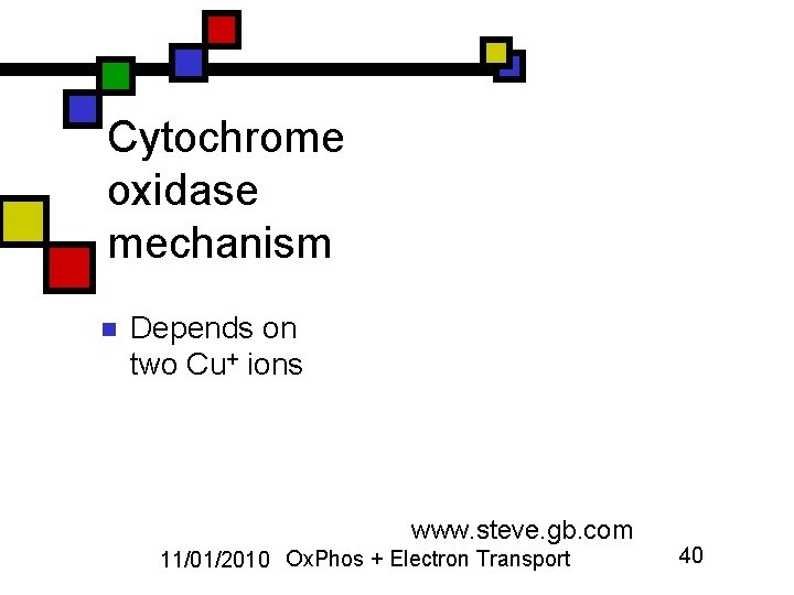 Cytochrome oxidase mechanism n Depends on two Cu+ ions www. steve. gb. com 11/01/2010