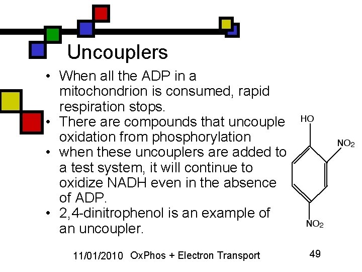 Uncouplers • When all the ADP in a mitochondrion is consumed, rapid respiration stops.