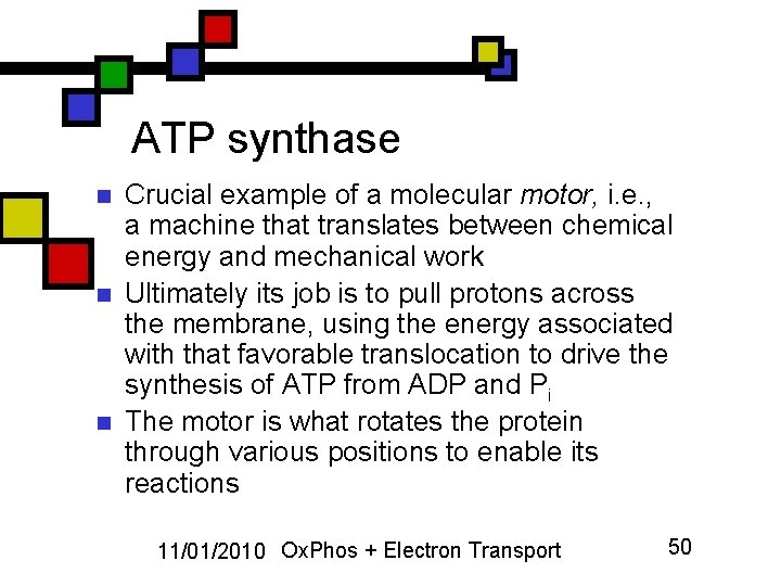 ATP synthase n n n Crucial example of a molecular motor, i. e. ,