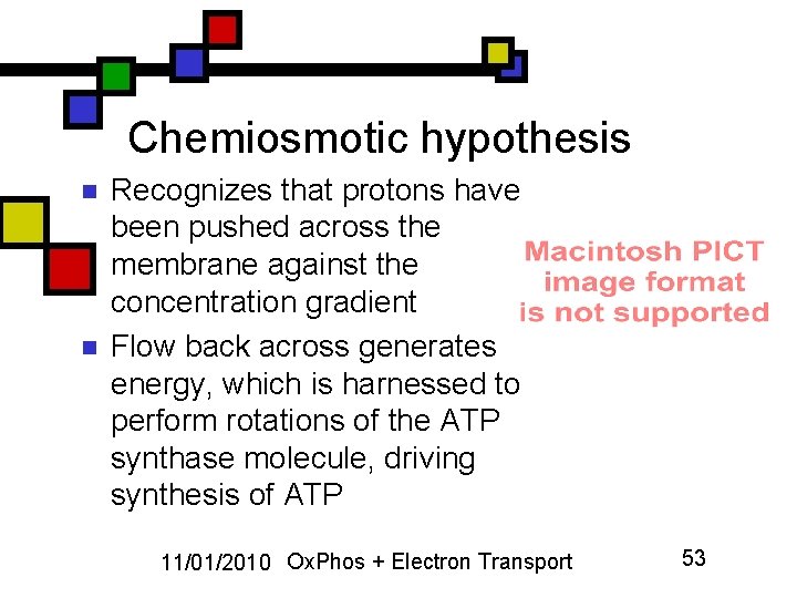 Chemiosmotic hypothesis n n Recognizes that protons have been pushed across the membrane against