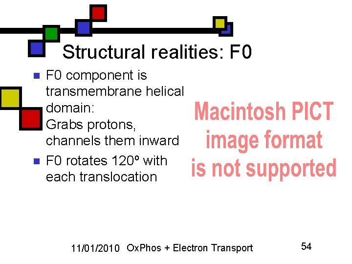 Structural realities: F 0 n n F 0 component is transmembrane helical domain: Grabs