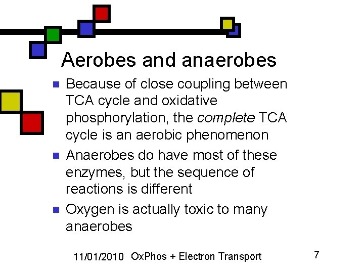 Aerobes and anaerobes n n n Because of close coupling between TCA cycle and