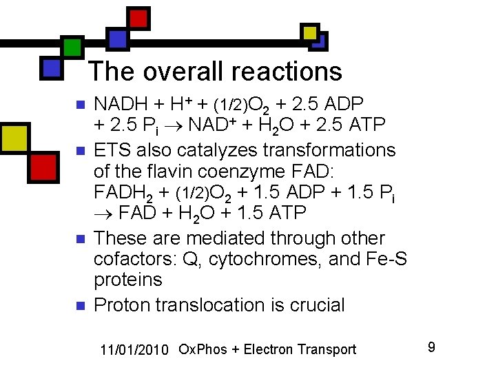 The overall reactions n n NADH + H+ + (1/2)O 2 + 2. 5