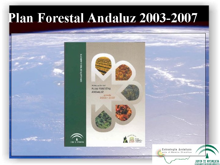 Plan Forestal Andaluz 2003 -2007 