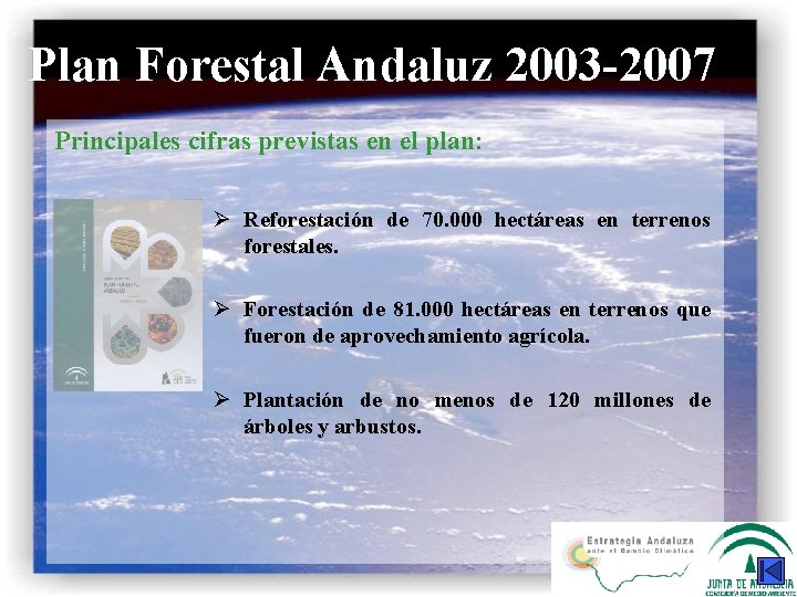 Plan Forestal Andaluz 2003 -2007 Principales cifras previstas en el plan: Ø Reforestación de