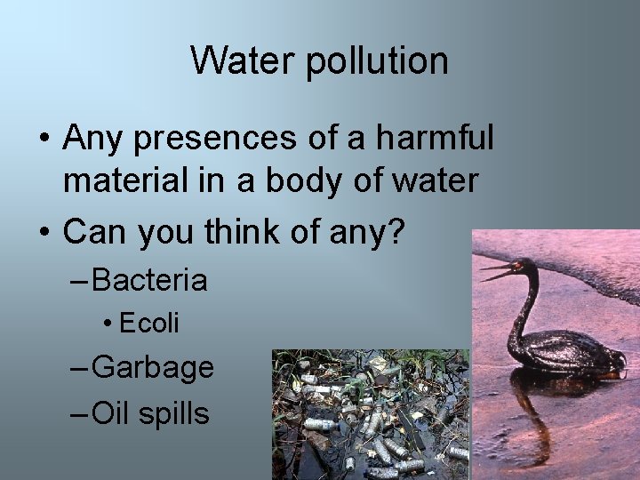Water pollution • Any presences of a harmful material in a body of water