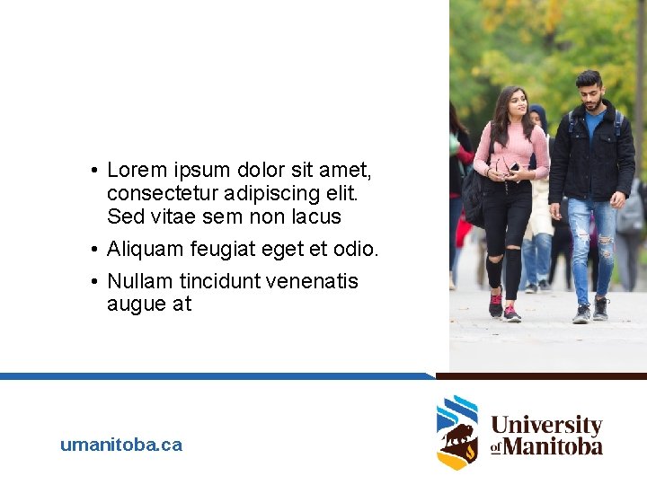  • Lorem ipsum dolor sit amet, consectetur adipiscing elit. Sed vitae sem non