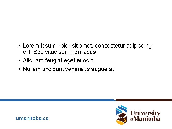  • Lorem ipsum dolor sit amet, consectetur adipiscing elit. Sed vitae sem non