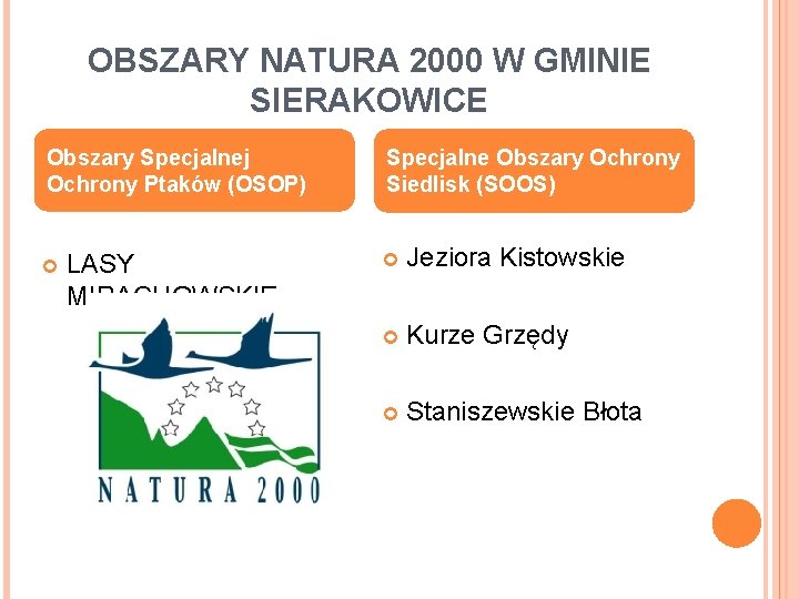 OBSZARY NATURA 2000 W GMINIE SIERAKOWICE Obszary Specjalnej Ochrony Ptaków (OSOP) LASY MIRACHOWSKIE Specjalne