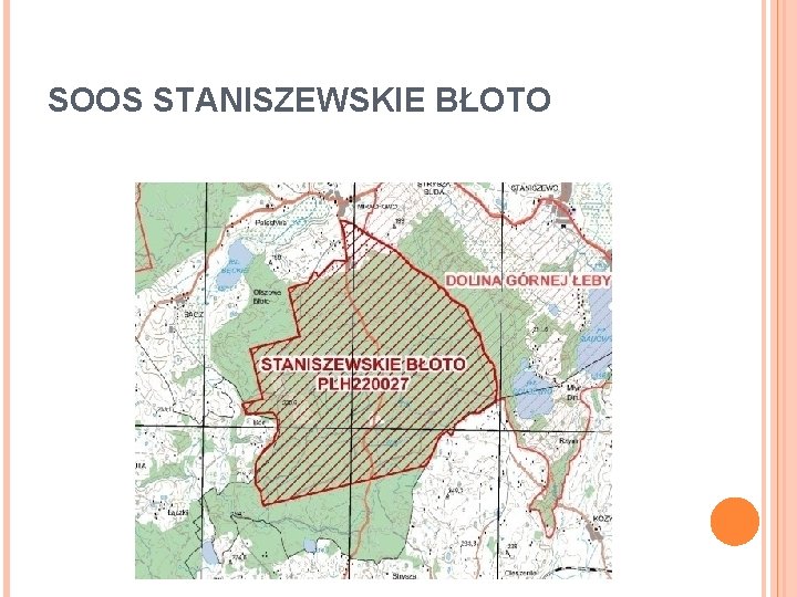 SOOS STANISZEWSKIE BŁOTO 