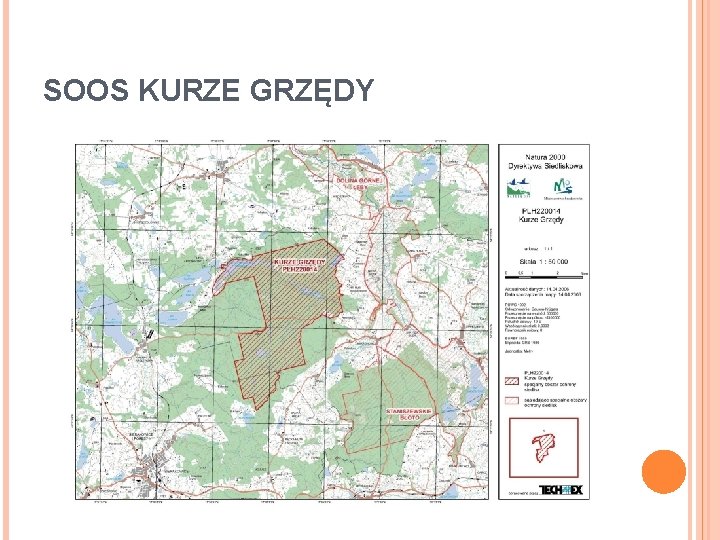 SOOS KURZE GRZĘDY 