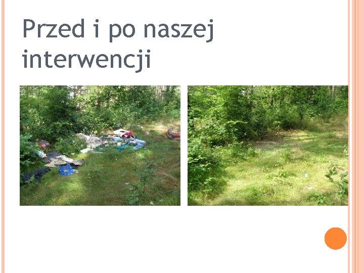 Przed i po naszej interwencji Sprzątanie 