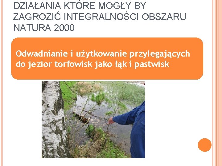 DZIAŁANIA KTÓRE MOGŁY BY ZAGROZIĆ INTEGRALNOŚCI OBSZARU NATURA 2000 Odwadnianie i użytkowanie przylegających do