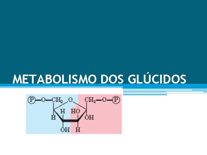 METABOLISMO DOS GLÚCIDOS 