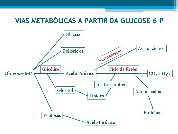 VIAS METABÓLICAS A PARTIR DA GLUCOSE-6 -P Glucose Ácido Láctico o açã Poliósidos nt