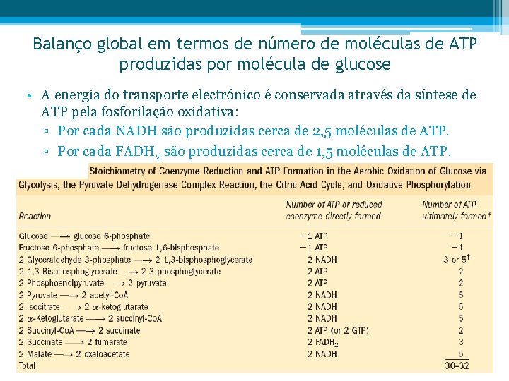 Balanço global em termos de número de moléculas de ATP produzidas por molécula de