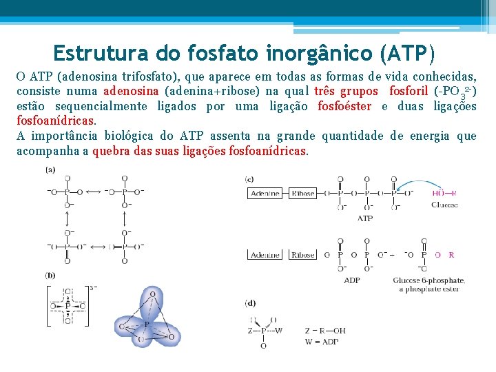 Estrutura do fosfato inorgânico (ATP) O ATP (adenosina trifosfato), que aparece em todas as