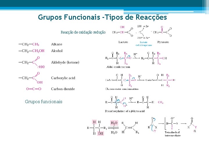 Grupos Funcionais -Tipos de Reacções Reacção de oxidação redução Grupos funcionais 