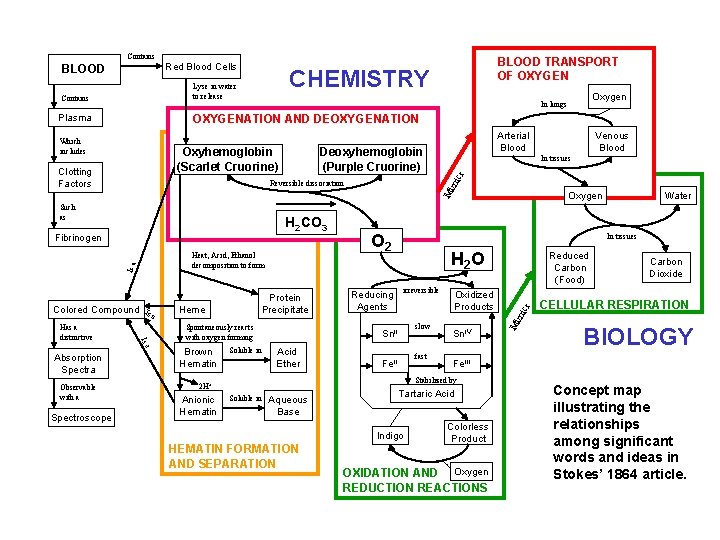 Contains BLOOD Red Blood Cells CHEMISTRY Lyse in water to release Contains Plasma Is