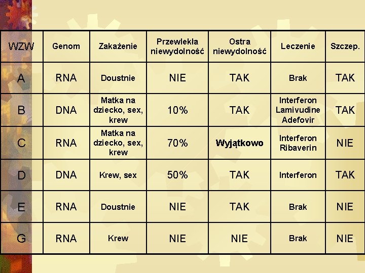 WZW Genom Zakażenie Przewlekła niewydolność Ostra niewydolność Leczenie Szczep. A RNA Doustnie NIE TAK