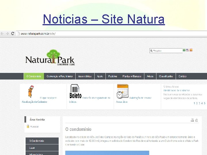 Noticias – Site Natura 