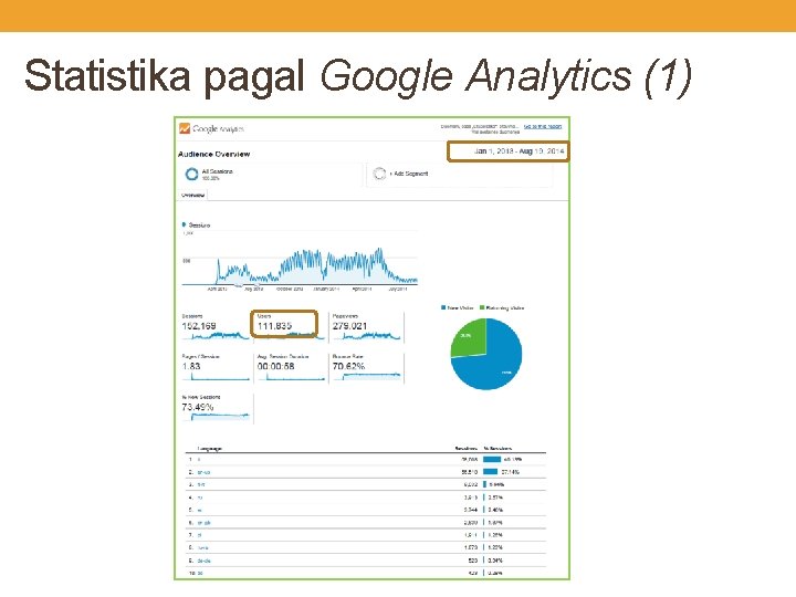 Statistika pagal Google Analytics (1) 