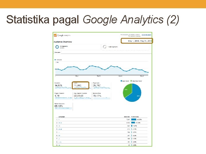 Statistika pagal Google Analytics (2) 