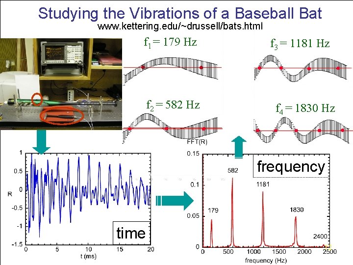 Studying the Vibrations of a Baseball Bat www. kettering. edu/~drussell/bats. html f 1 =