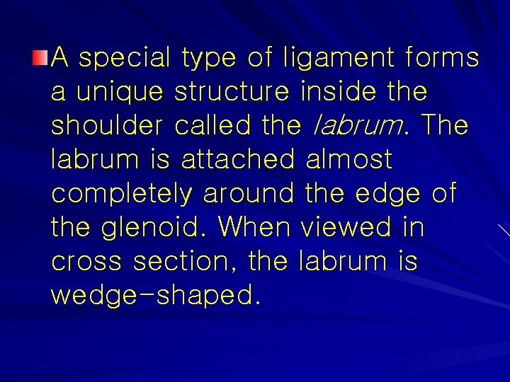 A special type of ligament forms a unique structure inside the shoulder called the