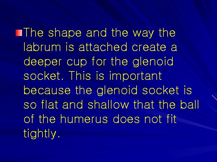 The shape and the way the labrum is attached create a deeper cup for