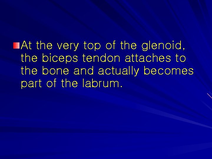 At the very top of the glenoid, the biceps tendon attaches to the bone