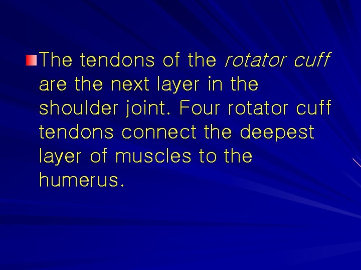 The tendons of the rotator cuff are the next layer in the shoulder joint.