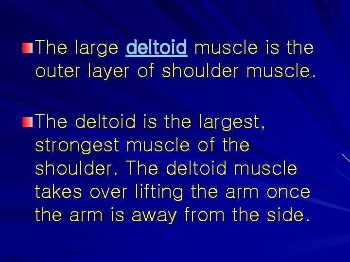 The large deltoid muscle is the outer layer of shoulder muscle. The deltoid is