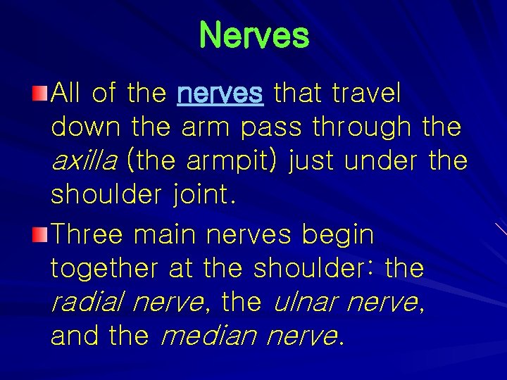 Nerves All of the nerves that travel down the arm pass through the axilla