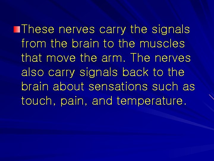 These nerves carry the signals from the brain to the muscles that move the