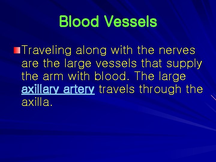 Blood Vessels Traveling along with the nerves are the large vessels that supply the