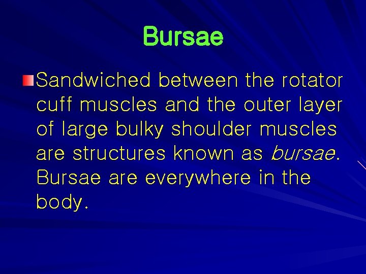 Bursae Sandwiched between the rotator cuff muscles and the outer layer of large bulky