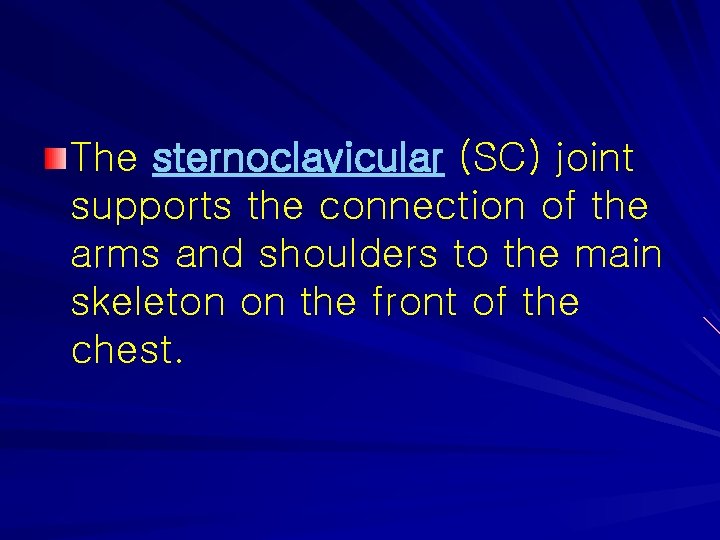 The sternoclavicular (SC) joint supports the connection of the arms and shoulders to the