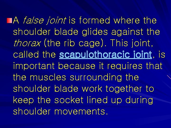 A false joint is formed where the shoulder blade glides against the thorax (the