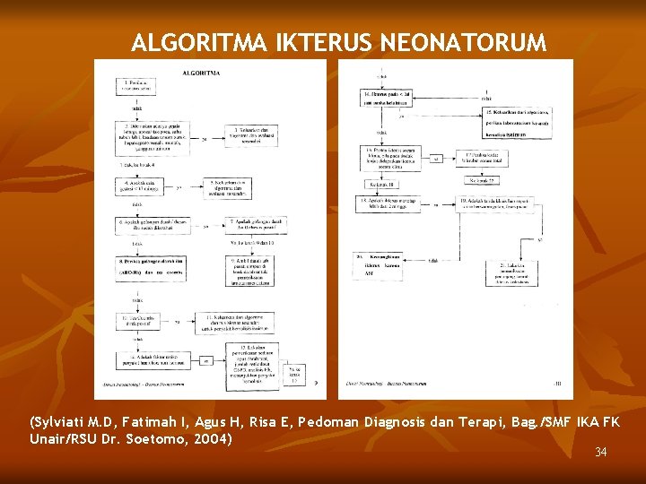 ALGORITMA IKTERUS NEONATORUM (Sylviati M. D, Fatimah I, Agus H, Risa E, Pedoman Diagnosis