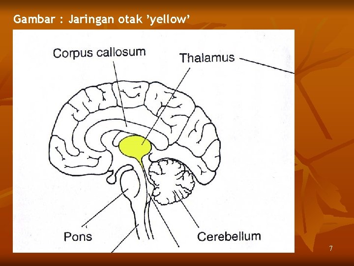 Gambar : Jaringan otak ’yellow’ 7 