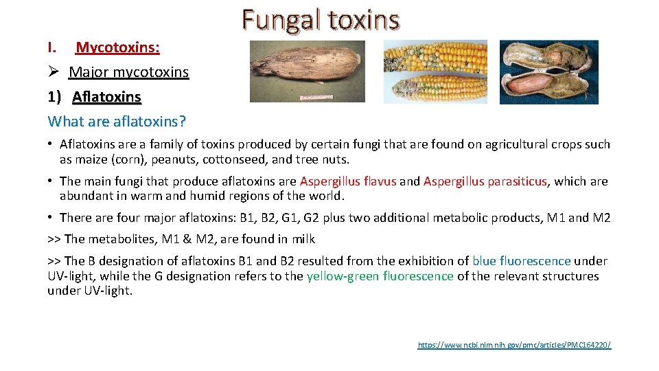 I. Mycotoxins: Ø Major mycotoxins 1) Aflatoxins What are aflatoxins? Fungal toxins • Aflatoxins