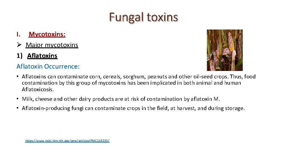 Fungal toxins I. Mycotoxins: Ø Major mycotoxins 1) Aflatoxins Aflatoxin Occurrence: • Aflatoxins can