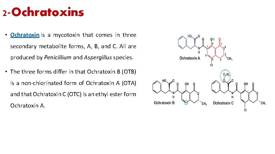 2 -Ochratoxins • Ochratoxin is a mycotoxin that comes in three secondary metabolite forms,