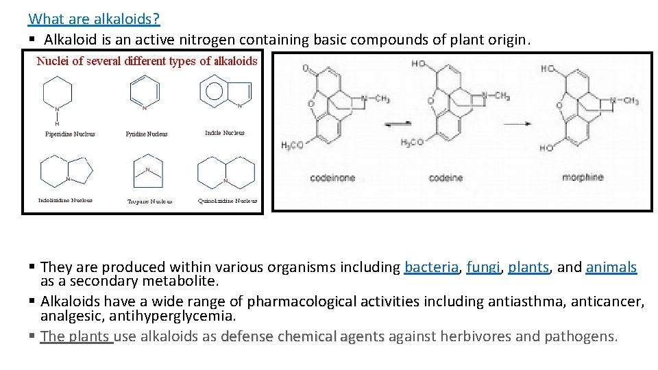 What are alkaloids? § Alkaloid is an active nitrogen containing basic compounds of plant