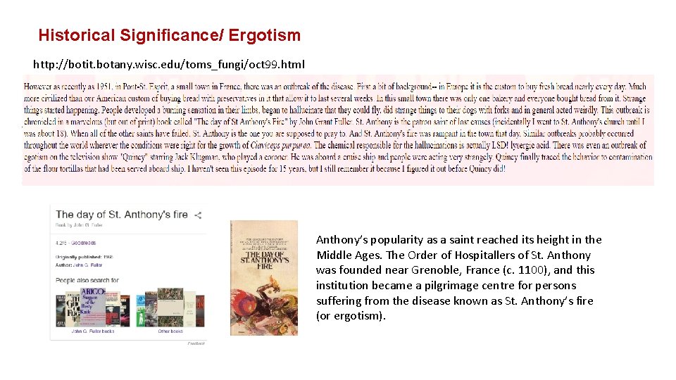 Historical Significance/ Ergotism http: //botit. botany. wisc. edu/toms_fungi/oct 99. html Anthony’s popularity as a