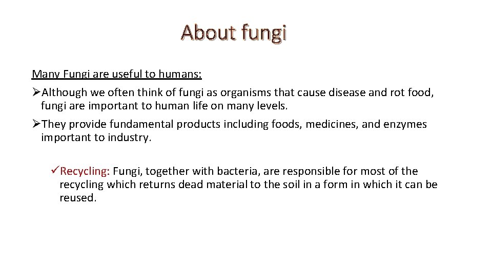 About fungi Many Fungi are useful to humans: ØAlthough we often think of fungi