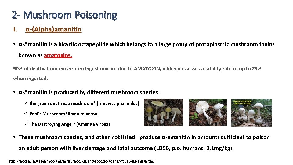 2 - Mushroom Poisoning I. α-(Alpha)amanitin • α-Amanitin is a bicyclic octapeptide which belongs