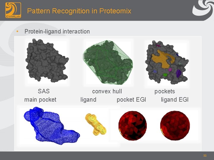Pattern Recognition in Proteomix • Protein-ligand interaction SAS main pocket convex hull ligand pocket